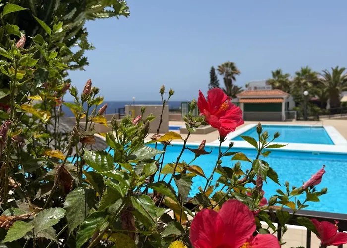 Sun Tenerife